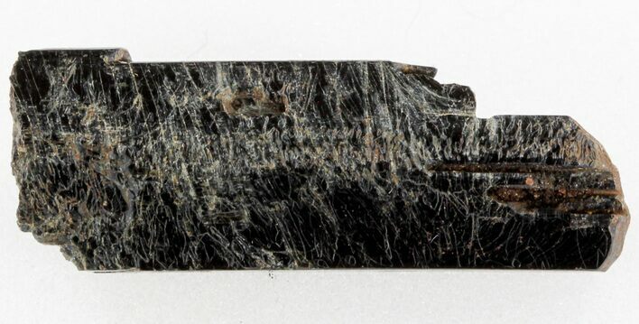 Fluoro-Magnesiokatophorite crystal - Ontario, CA #37796